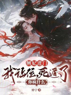 侧妃进门我让位,死遁了你疯什么