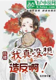 红楼:我真没想造反啊